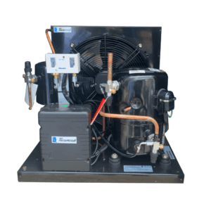 Cụm máy nén dàn ngưng Tecumseh - EPH4524Z-XG